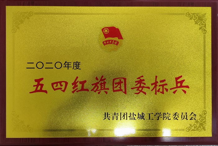 2020年度五四红旗团委标兵