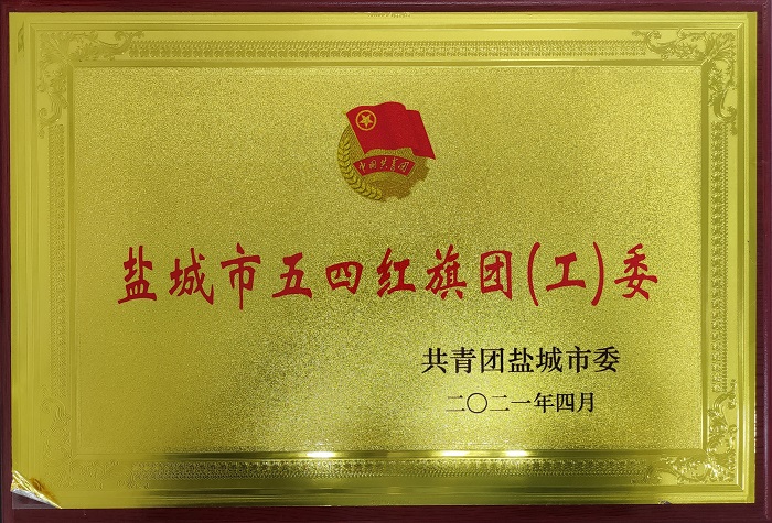 盐城市五四红旗团（工）委